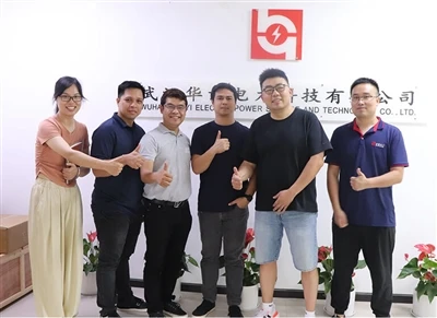 Els clients de la companyia d'energia elèctrica filipina van visitar la nostra fàbrica